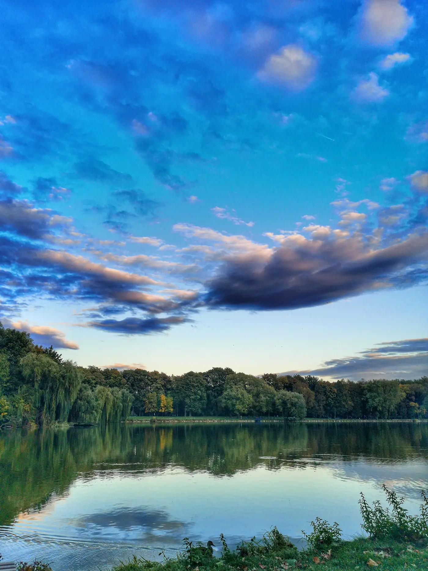 cielo cielo