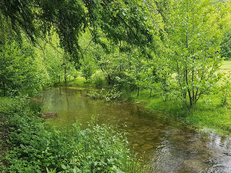 ambiente-e-profonda-coerenza-ambientale