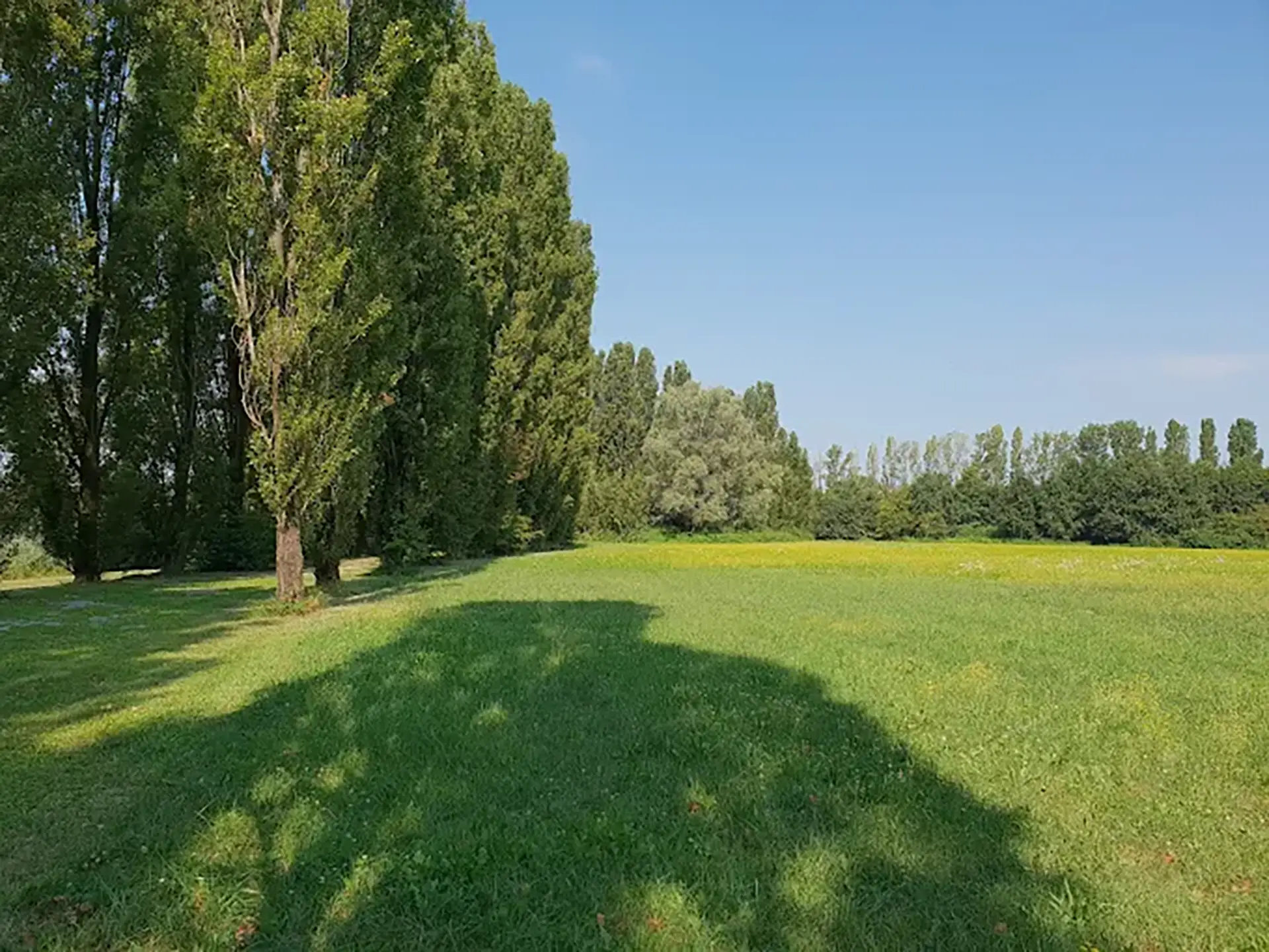 camminate-nel-paesaggio-natura-boscaccio