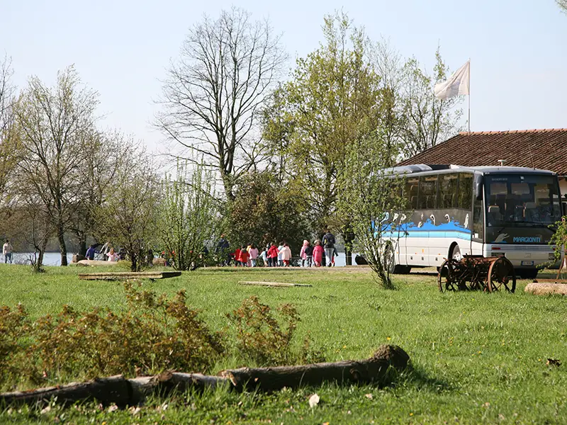 gite-scolastiche-lago-boscaccio