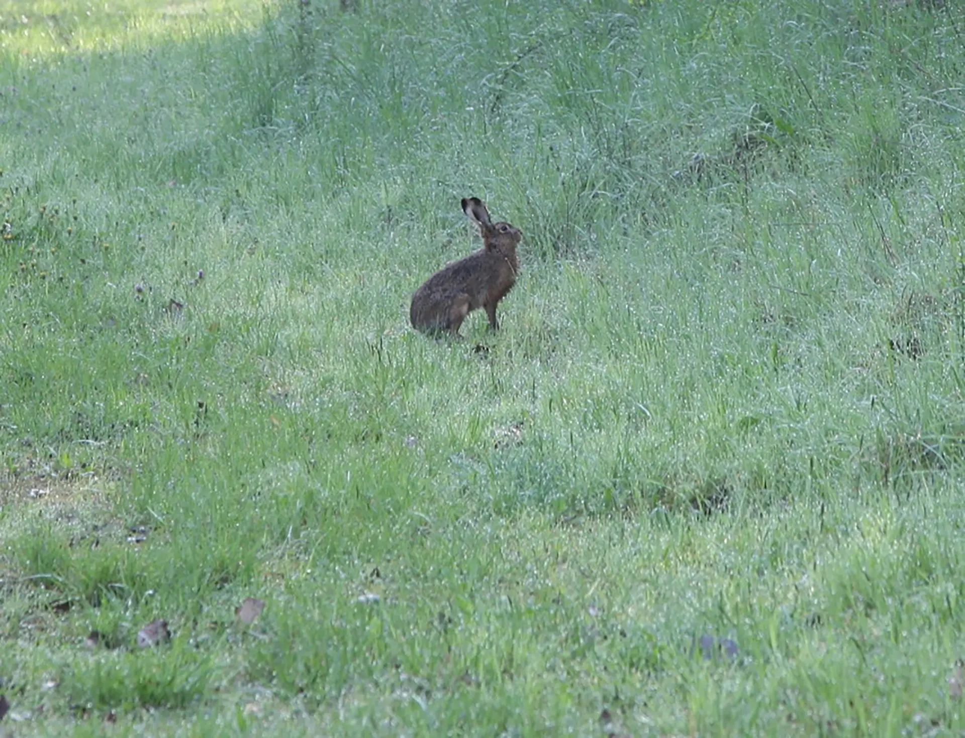 mappa-del-parco-osservazione-fauna