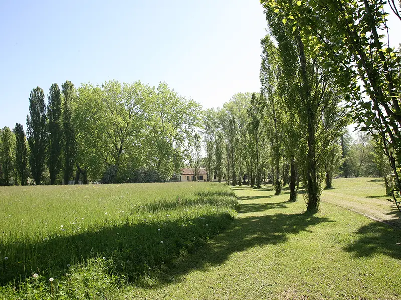 occasioni-esclusive-in-armonia-con-la-natura