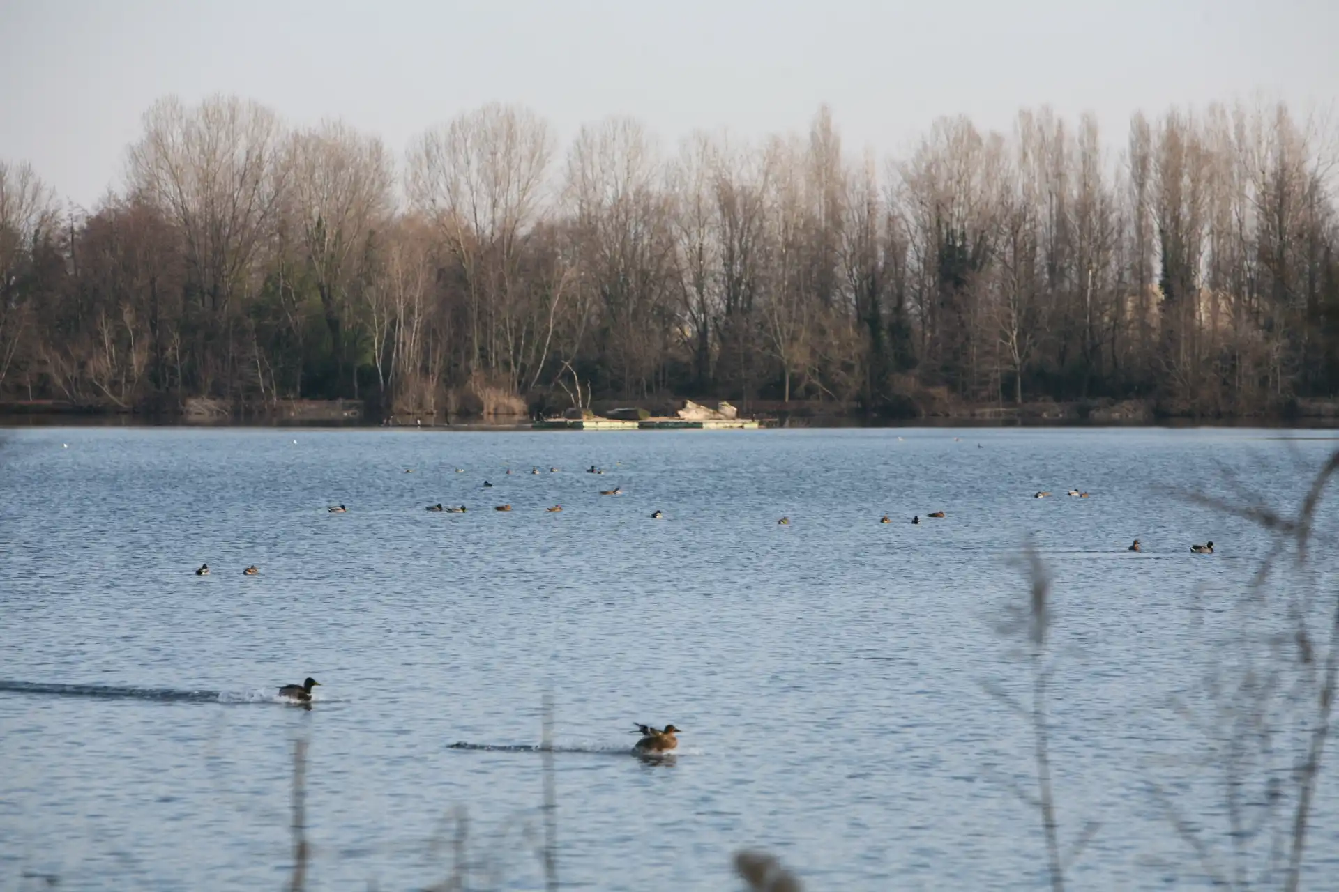 zona-pesca-no-kill